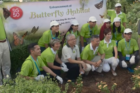 APRIL enhances Bishan Ang Mo Kio Butterfly Habitat in Celebration of SG50