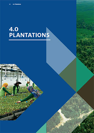 4.0-Plantations-1