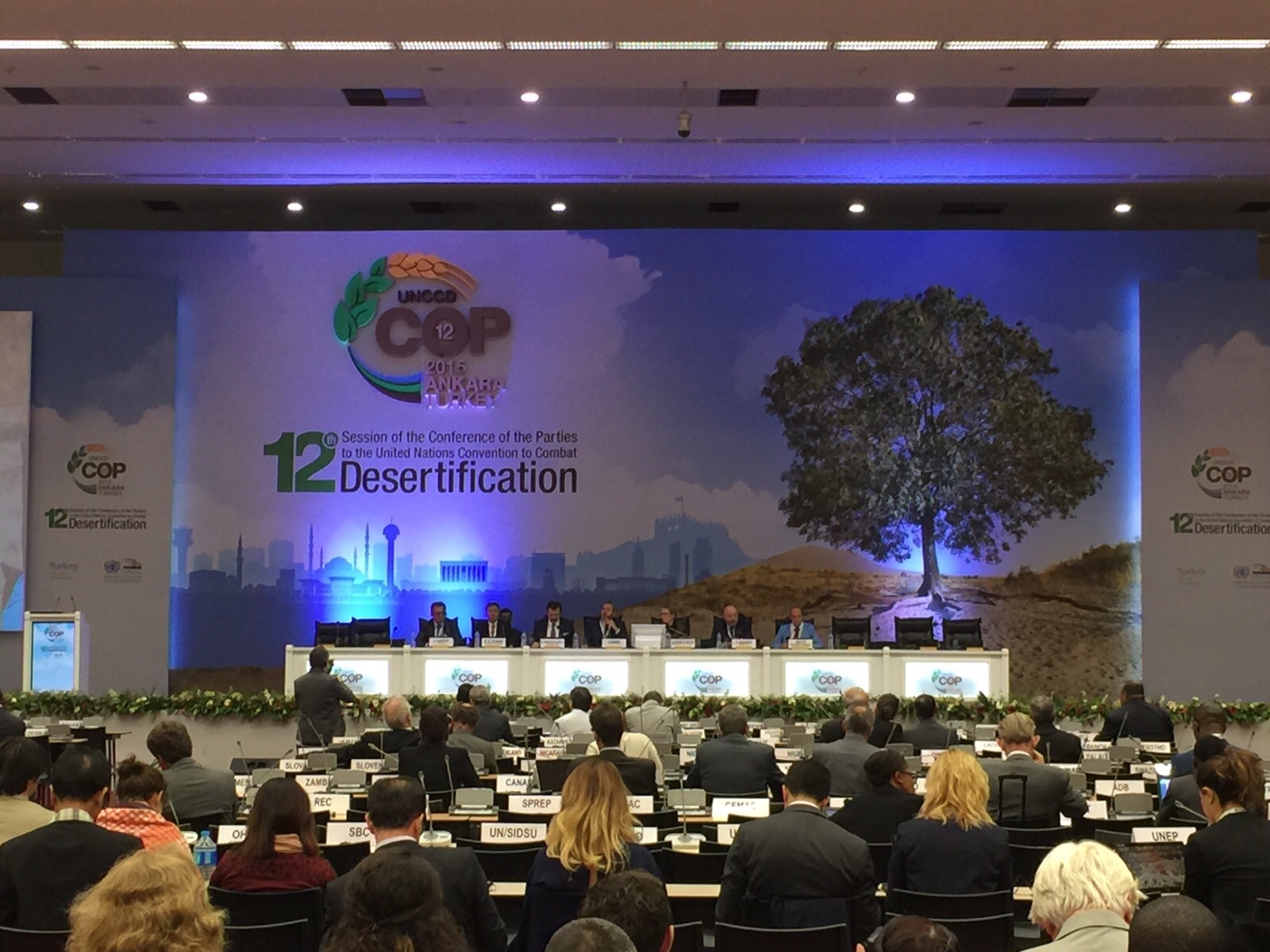 Solutions to Land Degradation in Riau, Indonesia: A Perspective APRIL Chairman Bey Soo Khiang joins other CEOs at the WBCSD CEO Panel on Business Contributions to Land Degradation Neutrality