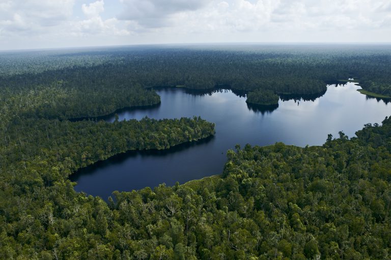 Restorasi Ekosistem Riau (RER) was launched in 2013 to protect ecologically important peat forest in Kampar Peninsula, Riau, Indonesia.