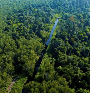 Peatland Management - Key to a Sustainable Future APRIL manages High Conservation Value Forest
