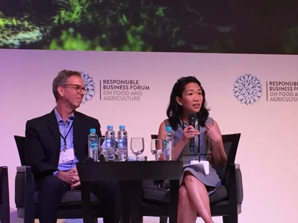 BSCD Singapore Whitepaper: Landscape Approach to Conserving Forest Areas APRIL Group's Sustainability Director, Lucita Jasmin, speaks at Responsible Business Forum Jakarta