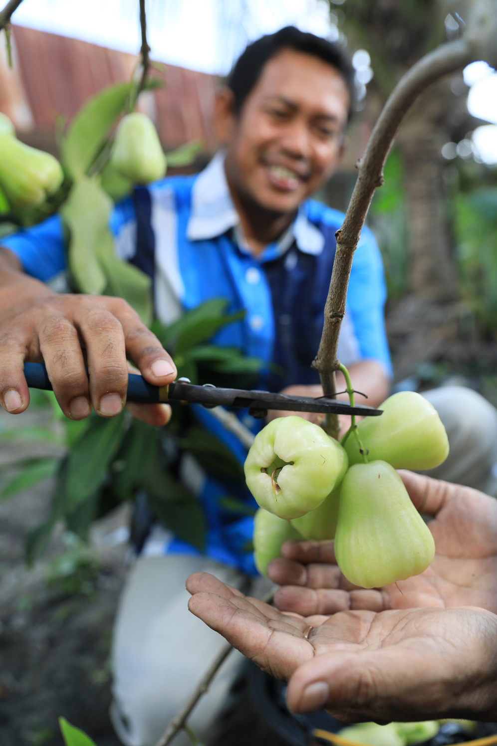 Dibalik Layar Restorasi Ekosistem: Apresiasi pada Tim Lapangan Restorasi Ekosistem Riau (RER) APRIL Yunaidi Joepoet Day 3 64 1 — APRIL Asia