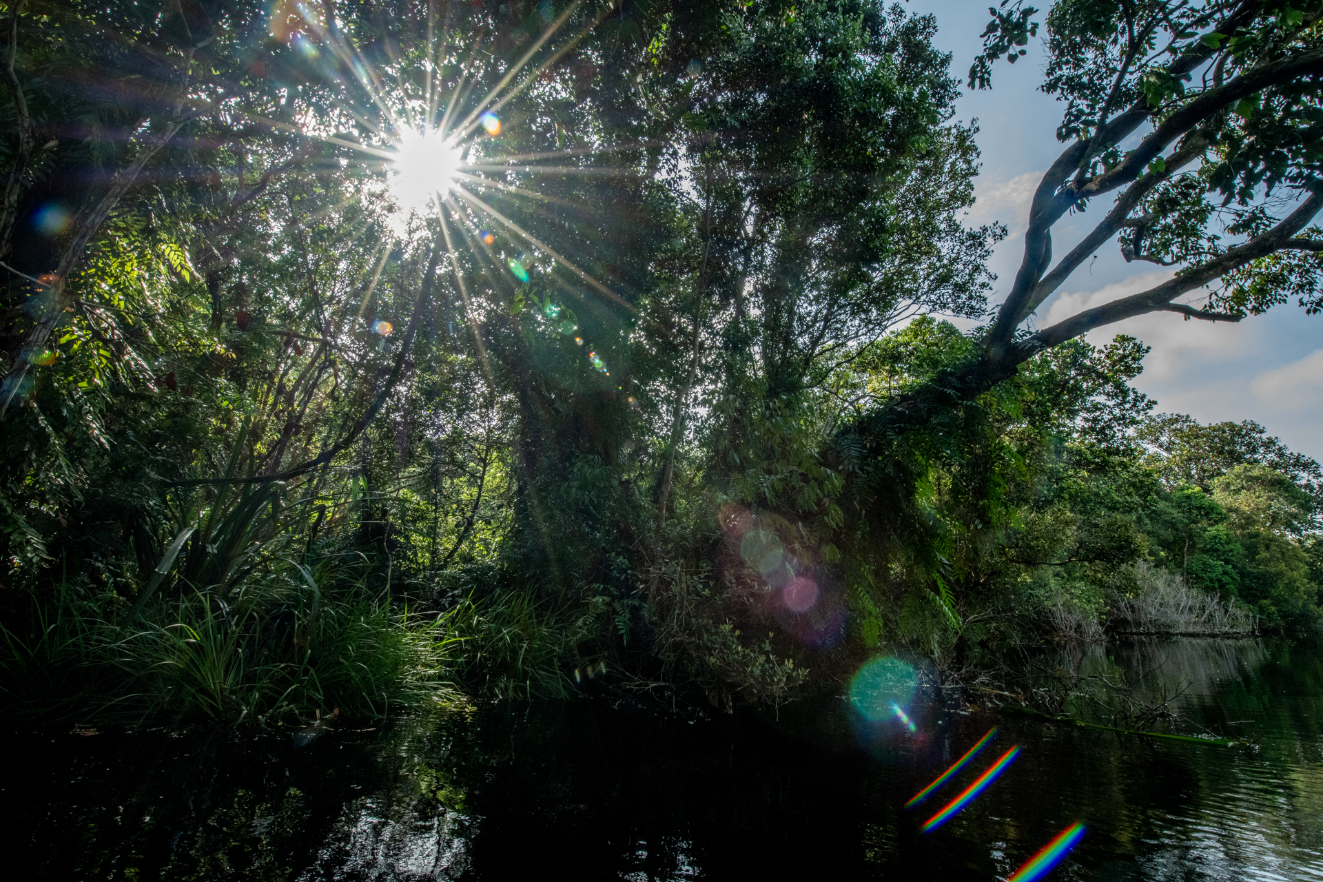 Dibalik Layar Restorasi Ekosistem: Apresiasi pada Tim Lapangan Restorasi Ekosistem Riau (RER) Copyright Caine Delacy 2017 DSC 1583 1 — APRIL Asia
