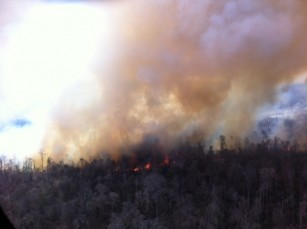 APRIL Reports Return of Forest Fires to Indonesia 1Rupat fire