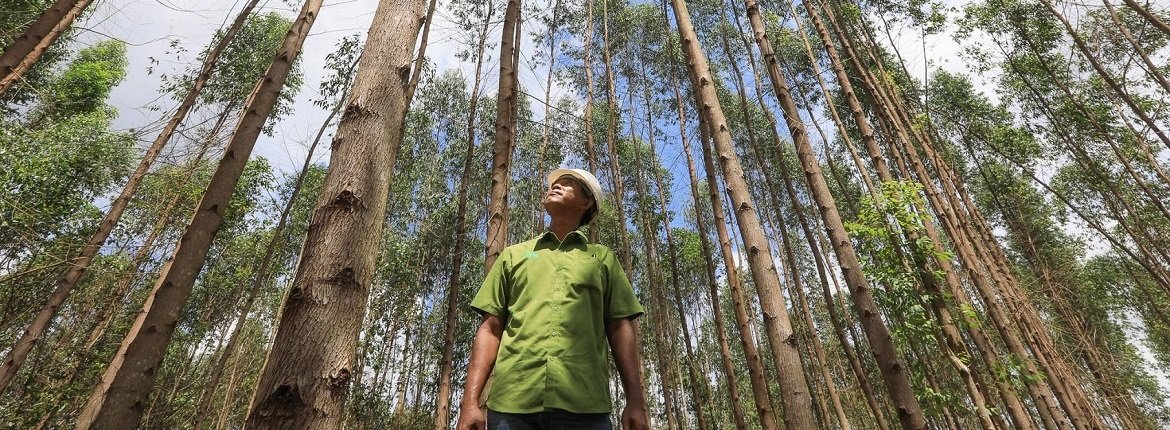 KPMG Report on APRIL Group's Implementation of Sustainable Forest Management Policy 2.0 April Group Sustainable Forest Management Policy