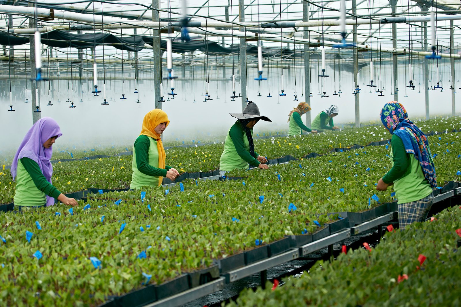 Meningkatkan Kualitas Hidup: Grup APRIL menerbitkan Laporan Bekelanjutan 2015-2016 April Nursery