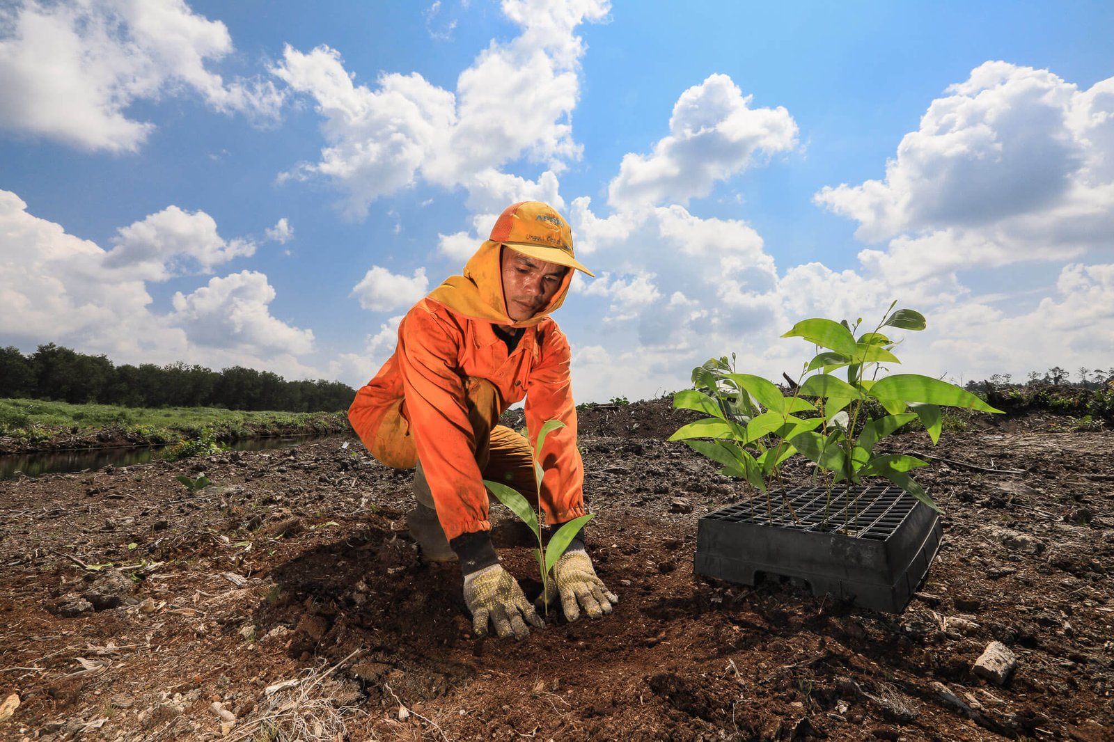 Eleventh Meeting of the Independent Peat Expert Working Group (IPEWG) APRIL Peatland