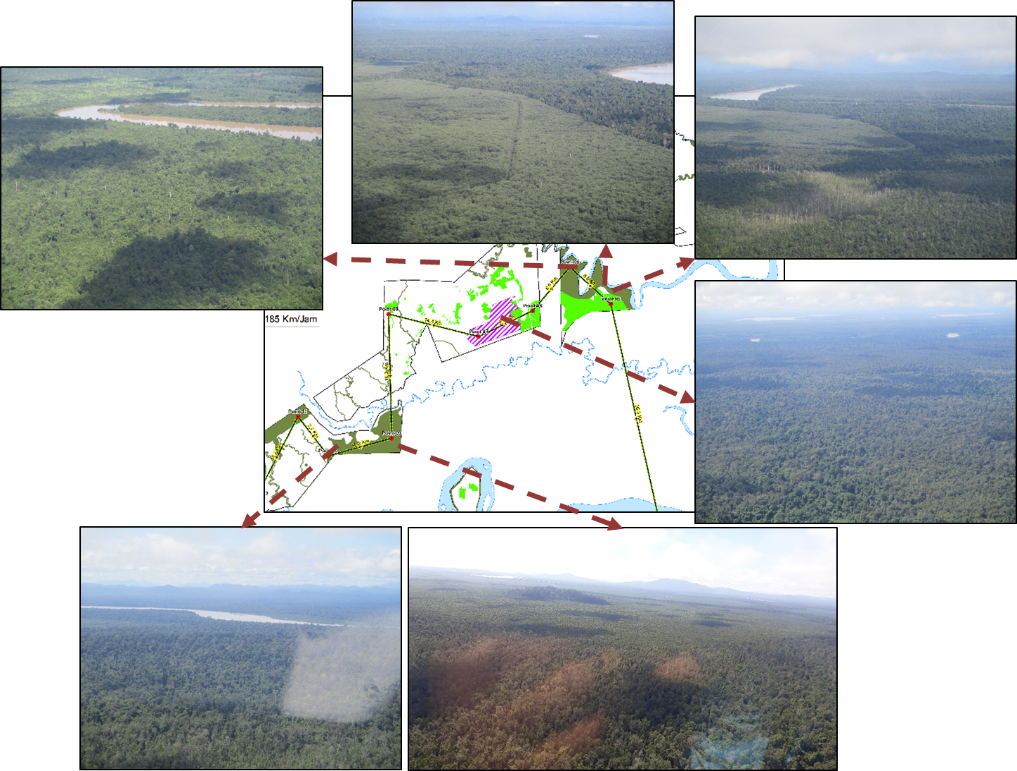 Picture 2 Aerial Survey &mdash; APRIL Asia