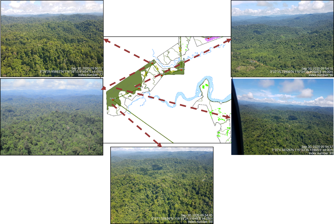 Picture 3 Aerial Survey &mdash; APRIL Asia