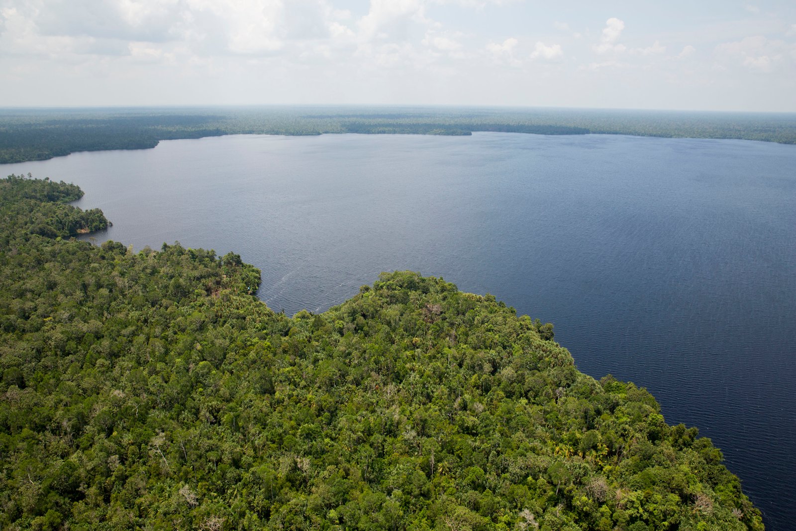 Bagaimana Restorasi Ekosistem Riau Menghadapi Tantangan Restorasi Rer Danau