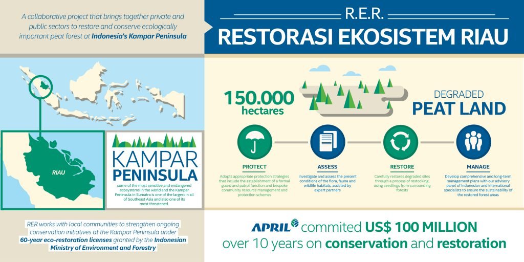 エイプリル社、ICIJレポートの報道内容は事実無根と否定 Restorasi Ekosistem Riau — APRIL Asia