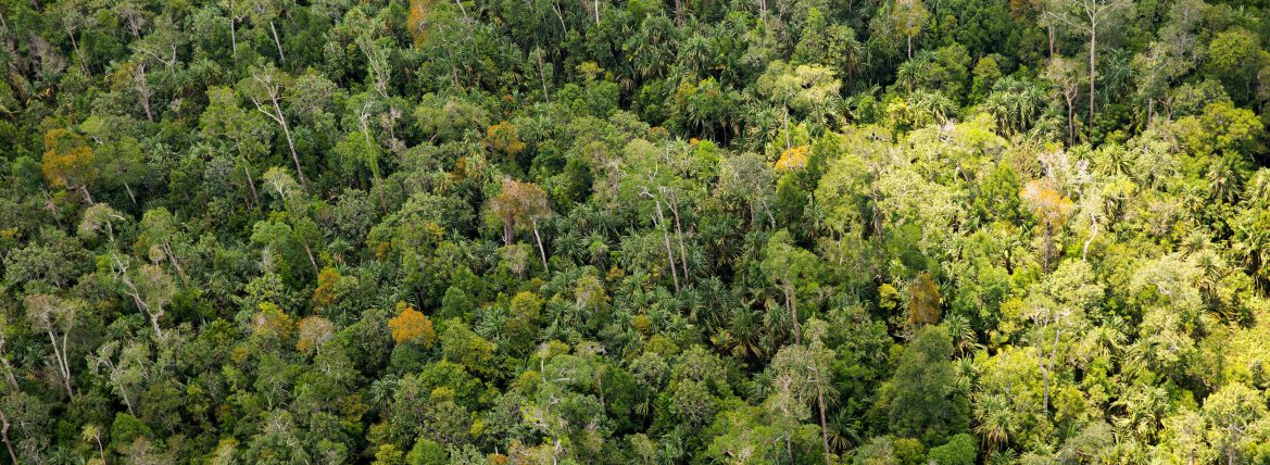 Aaa
