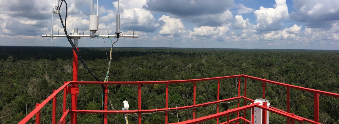 New Research Into Temporal Dynamics of Tropical Peat Subsidence Published Aprildialog Banner