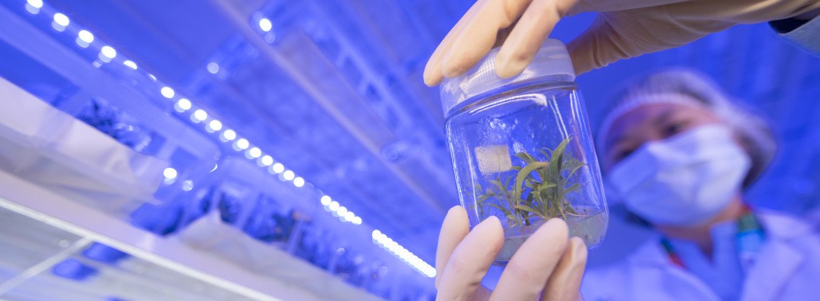 APRIL’s Tissue Culture Lab Drives Productivity and Sustainability Aprildialog Banner 12.jpg