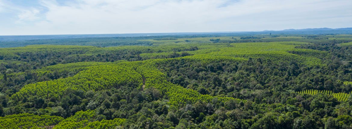 KPMG Report on APRIL Group’s Implementation of Sustainable Forest Management Policy 2.0 Aprildialog Banner 02