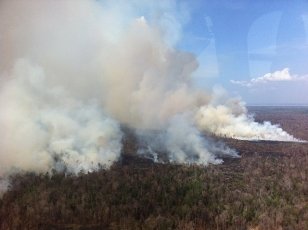 Latest Research on Land and Forest Fires in Indonesia Copy Of Forestfire2