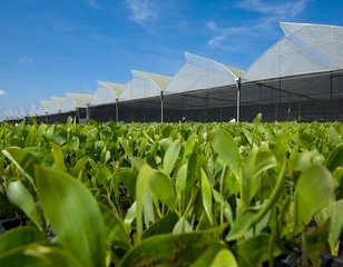 APRIL Points to Progress on Sustainable Forest Management – Rejects Greenpeace Claims Feb24small