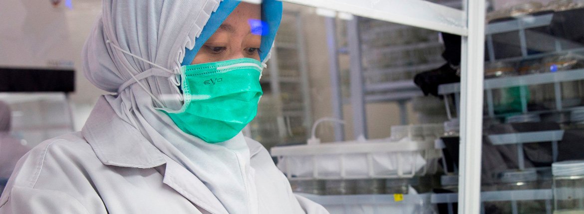 Para Pemimpin Perempuan di Sektor Kehutanan Indonesia Female Leaders Indonesia