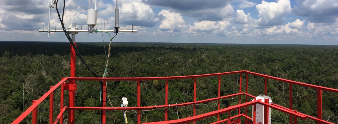 Flux Tower