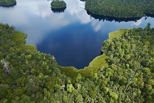 The facts behind APRIL’s Sustainable Forest Management Policy APRIL’s Sustainable Forest Management Policy commits the company to protecting forest with High Conservation Value. Under the Policy, APRIL has conserved more than 250,000 hectares of prime forest.