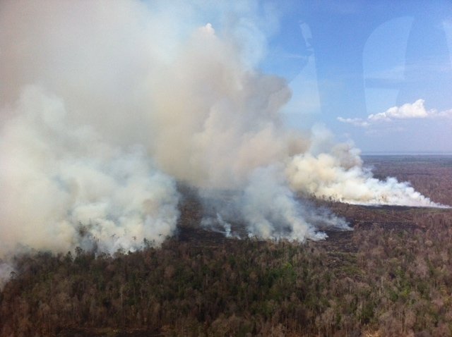 Latest Research on Land and Forest Fires in Indonesia Forest Fire