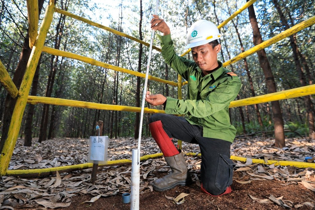 New Research Into Temporal Dynamics of Tropical Peat Subsidence Published new research into temporal dynamics of ttropical peat subsidence published — APRIL Asia