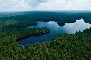 BSCD Singapore Whitepaper: Landscape Approach to Conserving Forest Areas Restorasi Ekosistem Riau (RER) a collaboration initiated by APRIL Group in 2013 to protect peat forest in Kampar Peninsula.