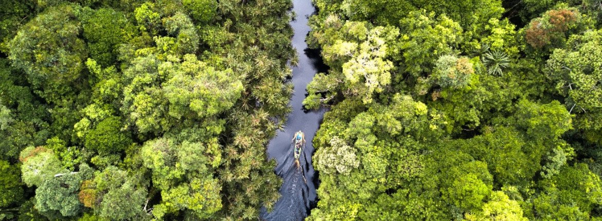 The Importance Of Peatland Forest Protection rer — APRIL Asia