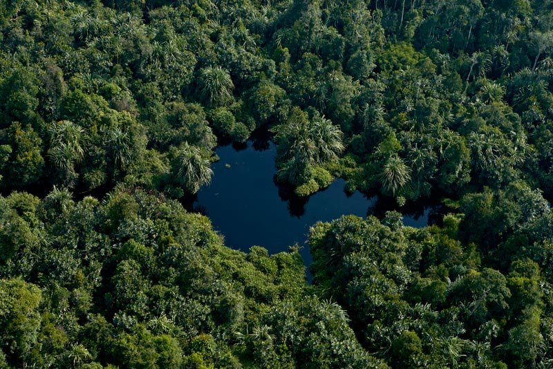 Eighth Meeting of the Independent Peat Expert Working Group (IPEWG) APRIL peatland