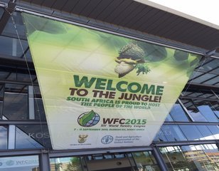 Membahas Pemulihan Lahan Gambut di #Hutan2015 Rsz Wfc Photo Banner
