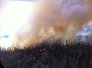 APRIL Reports Return of Forest Fires to Indonesia APRIL forest management