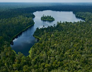BSCD Singapore Whitepaper: Landscape Approach to Conserving Forest Areas RER employs the four-phase model of peatland forest protection, creation and conservation using a landscape approach.