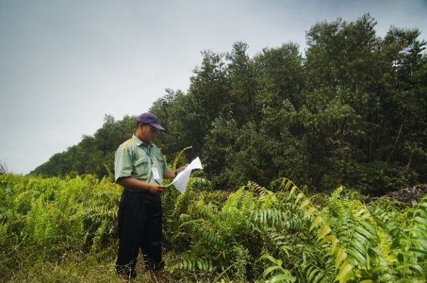 Publikasi laporan penilaian KPMG PRI atas implementasi Kebijakan Pengelolaan Hutan Berkelanjutan 2.0 (SFMP 2.0) APRIL Group Image 65