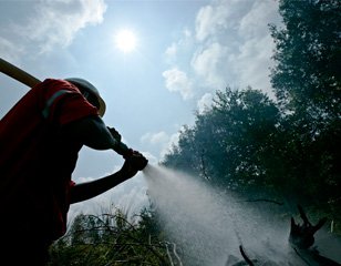 APRIL warns of early start to Sumatra forest fire season Sumatra Forest Featured Image