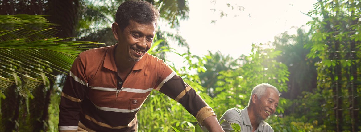 Melampaui Komitmen: Grup APRIL Rilis Laporan Keberlanjutan 2019 Supporting Local Livelihoods And Society Support To Farmer