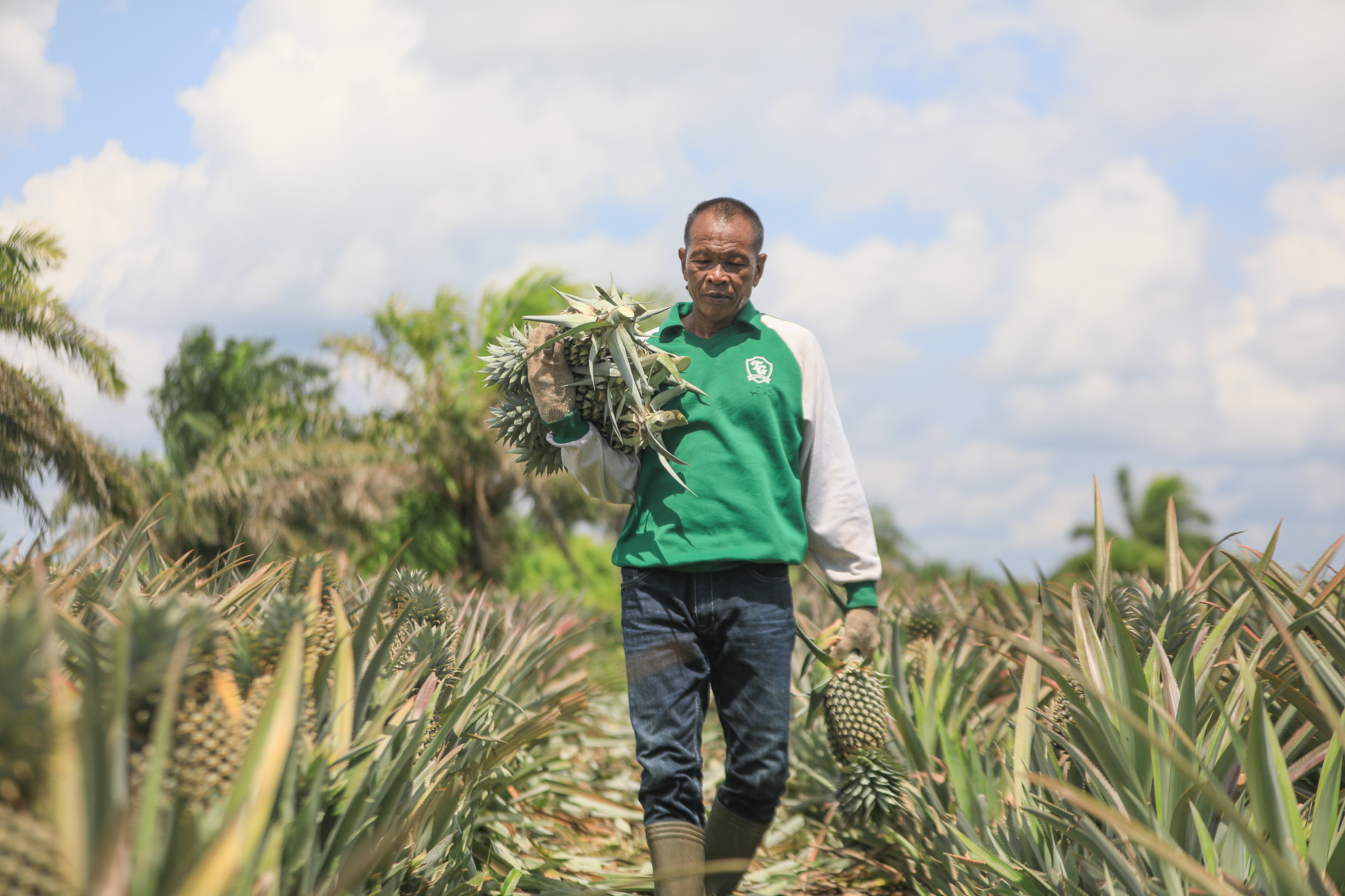 How A Community Farming Scheme Is Transforming This Village’s Prospects APRIL Yunaidi Joepoet Day 3 29 — APRIL Asia