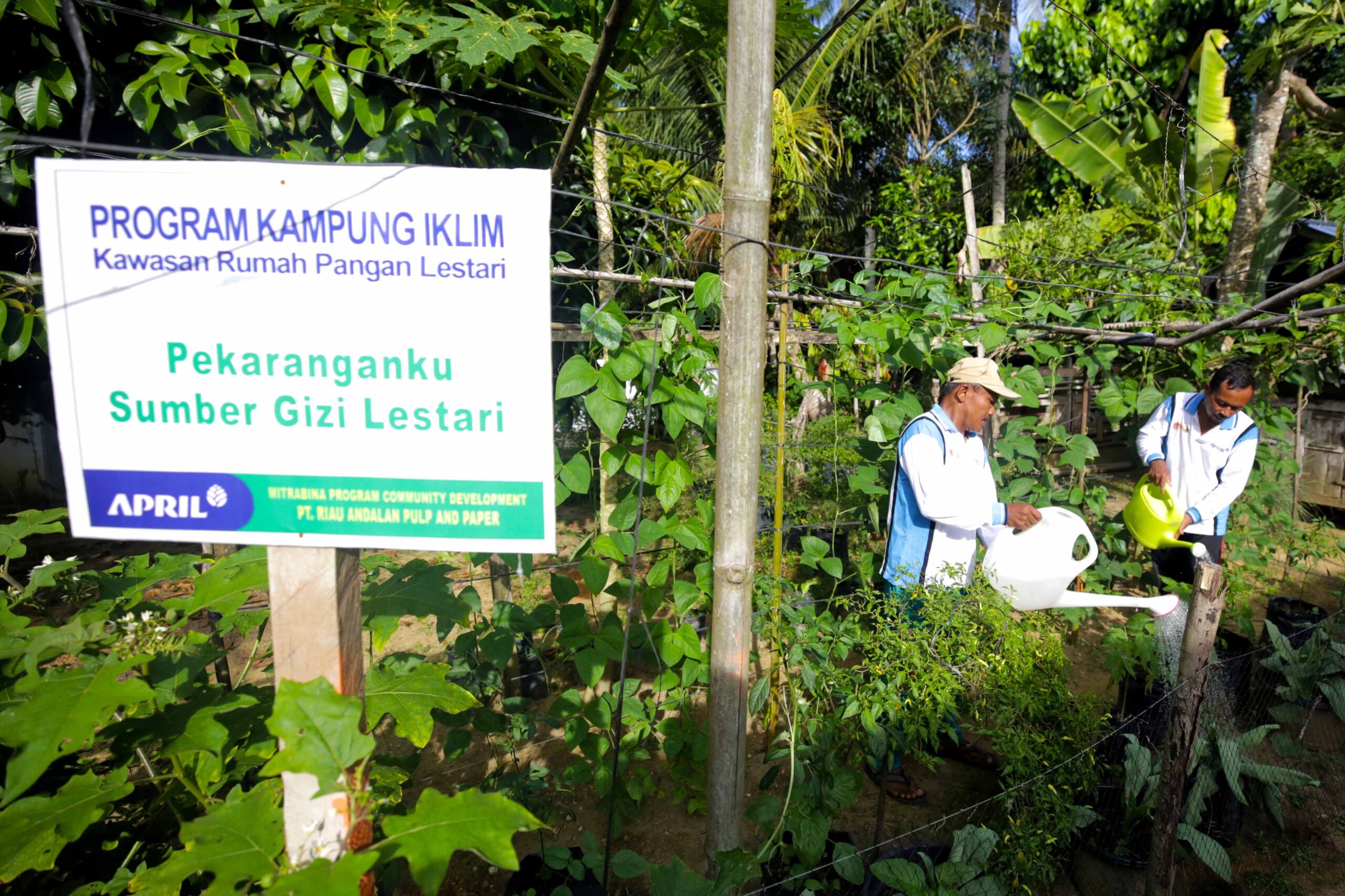 Rapp Helps Gunung Sari Village Become Successful Climate Village IMG 4046 mod S scaled — APRIL Asia