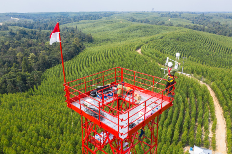 Climate Positive And Its Impact On Reducing Greenhouse Gas Effects APRIL Group