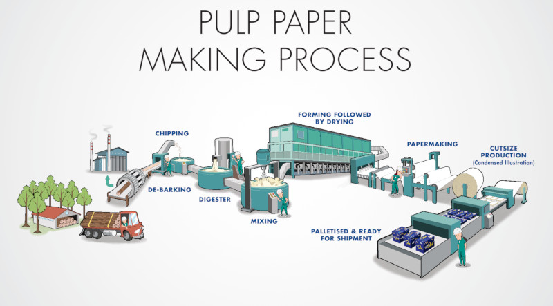 How Paper Is Made Paper Making