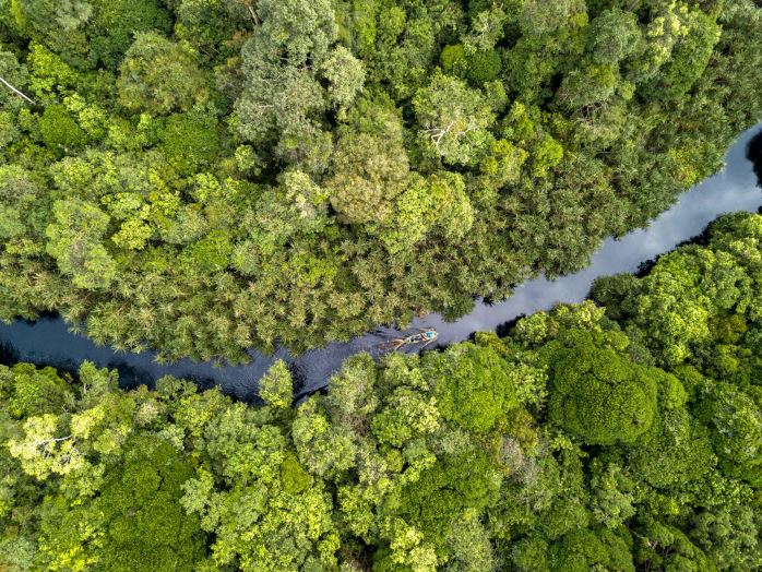 APRIL Statement on the Greenomics Report Alleging HCVF Clearance APRIL has allocated more than US$60 million to conservation work since 2020 through its conservation fund.