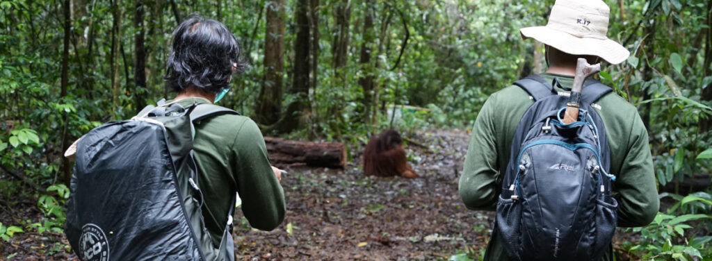 APRIL Dialog Working Together To Provide A Safe Home For Borneos Orangutans.01