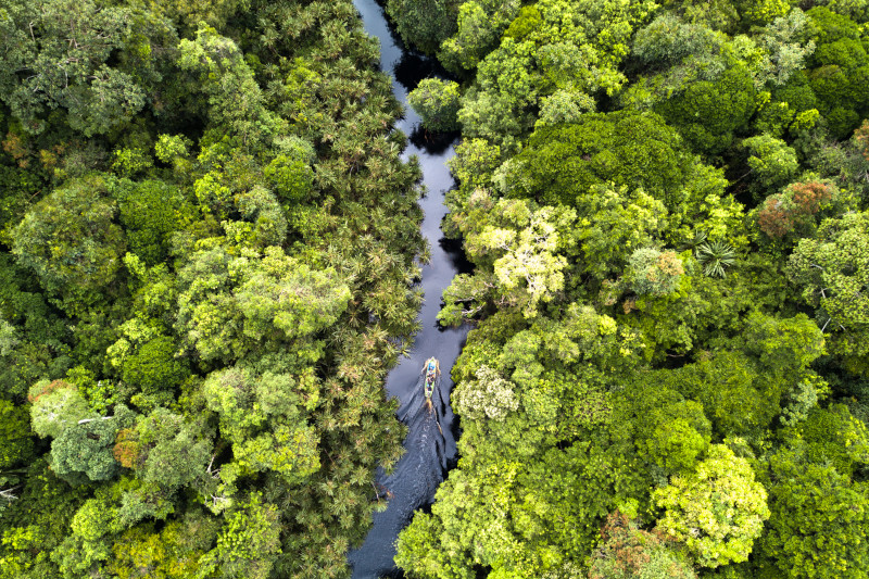 a damselfly discovery and a decade of science in sumatras peat forests 01 &mdash; APRIL Asia