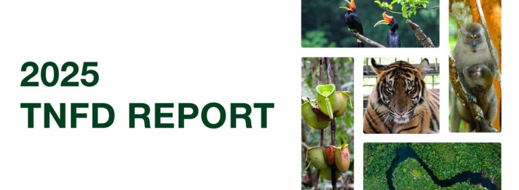 About APRIL TNFD-Report_Website-Banner-02-1170x430